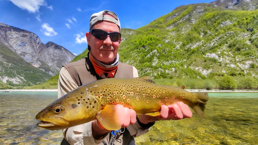 brown trout soca river.